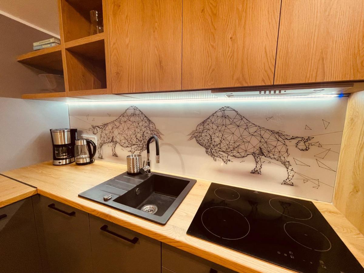 Apartamenty Ktw Kosciuszki 41 - Sky & Design 卡托维兹 外观 照片