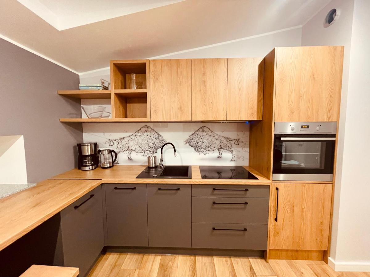 Apartamenty Ktw Kosciuszki 41 - Sky & Design 卡托维兹 外观 照片