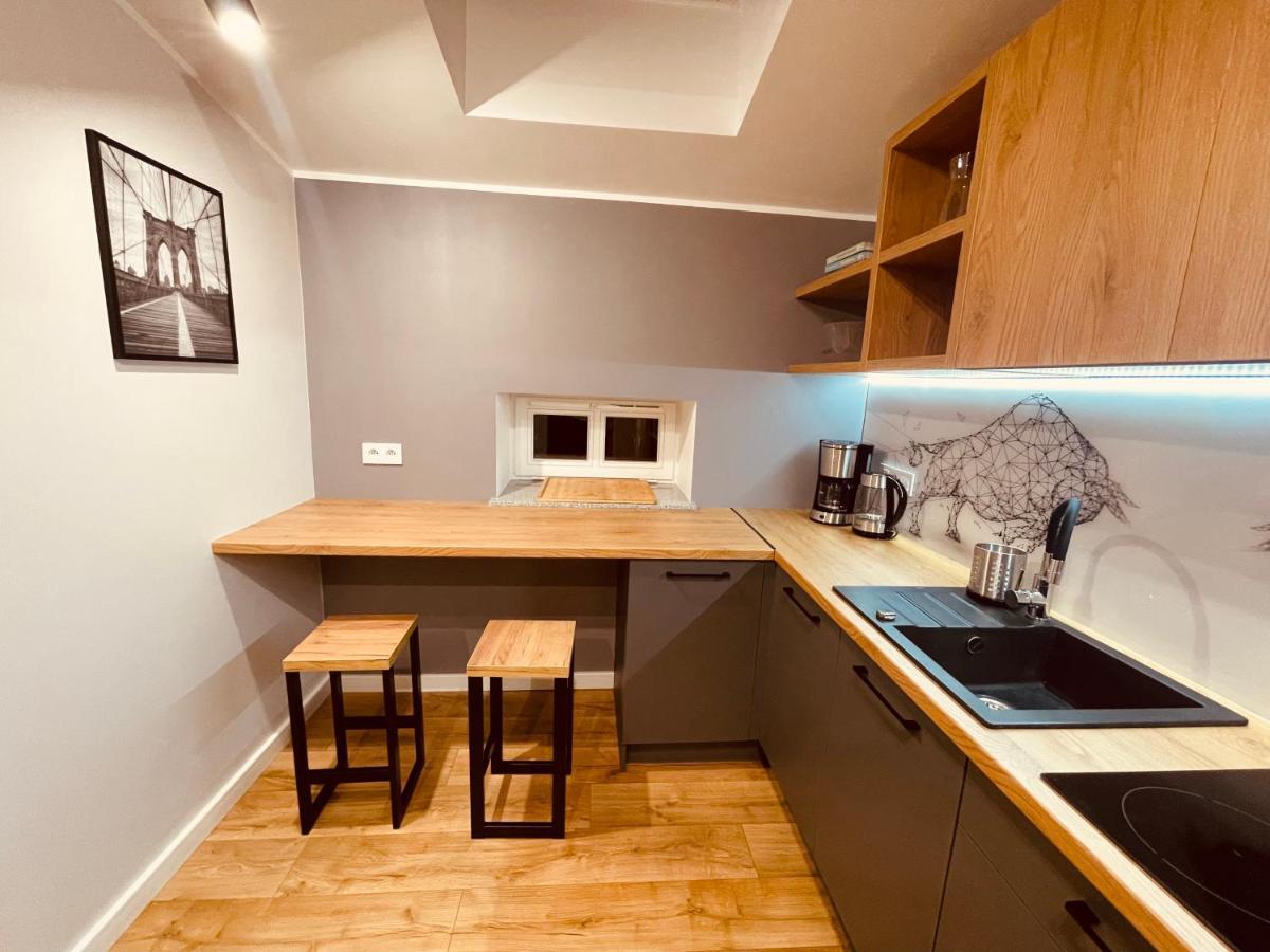 Apartamenty Ktw Kosciuszki 41 - Sky & Design 卡托维兹 外观 照片