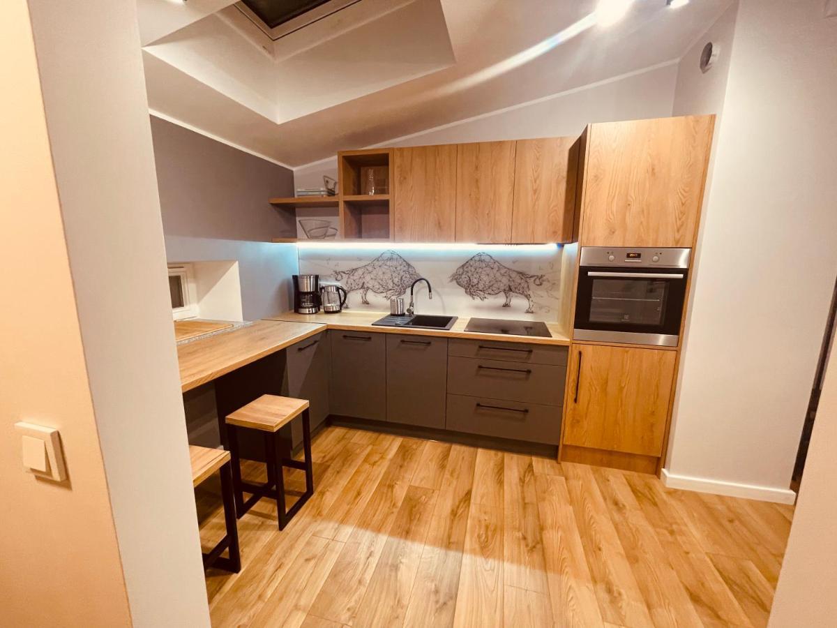 Apartamenty Ktw Kosciuszki 41 - Sky & Design 卡托维兹 外观 照片