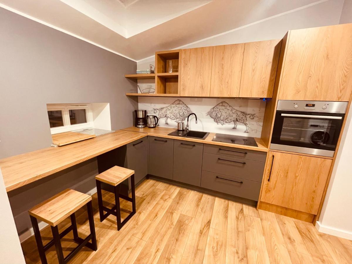 Apartamenty Ktw Kosciuszki 41 - Sky & Design 卡托维兹 外观 照片